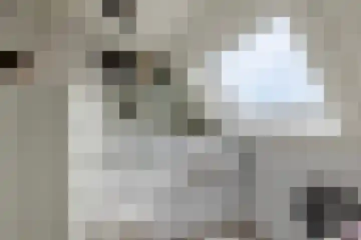 Vaarkamperhof 5 Lunteren thumbnail 32