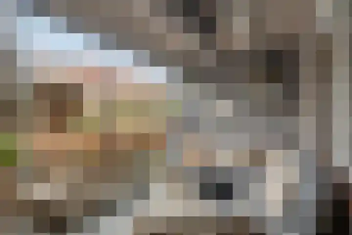 Vaarkamperhof 5 Lunteren thumbnail 35