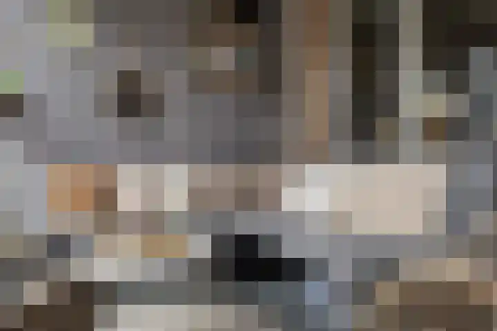 Vaarkamperhof 5 Lunteren thumbnail 37