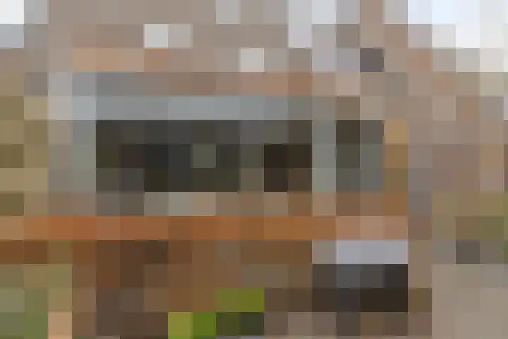 Vaarkamperhof 5 Lunteren thumbnail 40