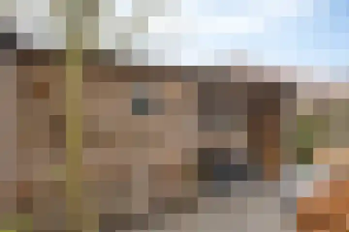 Vaarkamperhof 5 Lunteren thumbnail 41