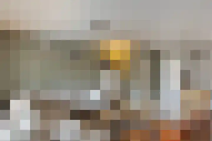 Vaarkamperhof 5 Lunteren thumbnail 8