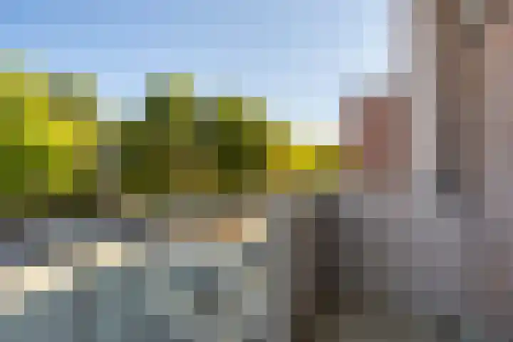 Vaarnerkamp 84 Rotterdam thumbnail 12
