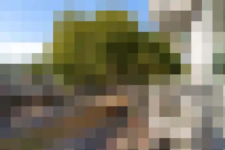 Vaarnerkamp 84 Rotterdam thumbnail 7