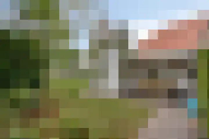 Vaarselstraat 29 Someren thumbnail 6