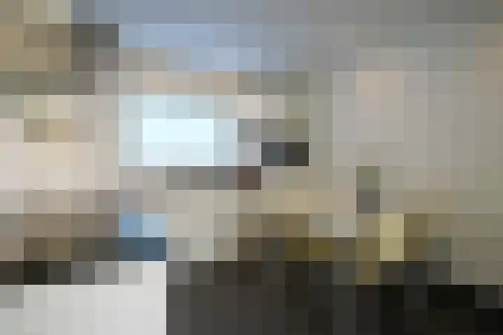 Vaart 18 Stein thumbnail 10