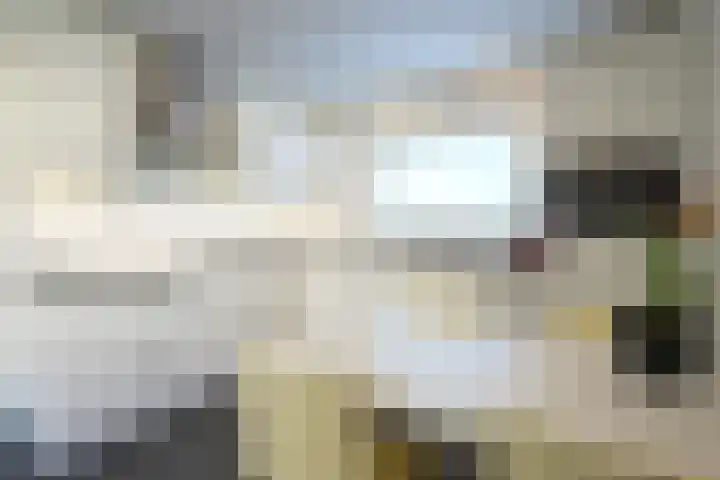 Vaart 18 Stein thumbnail 12