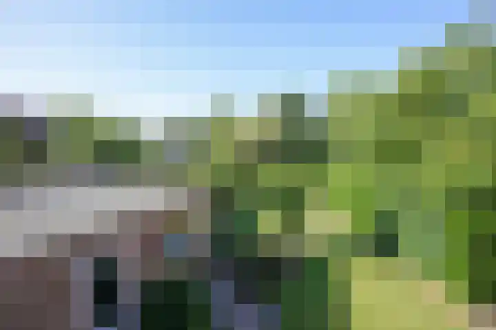 Vaart 18 Stein thumbnail 19