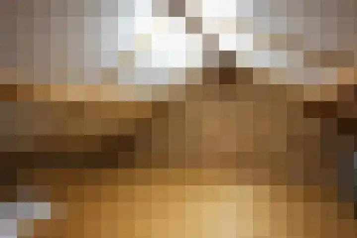 Vaart 18 Stein thumbnail 20