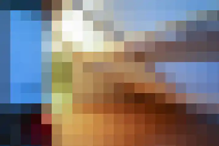 Vaart 18 Stein thumbnail 21