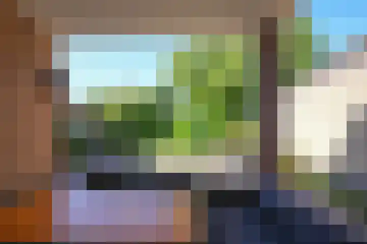 Vaart 18 Stein thumbnail 22