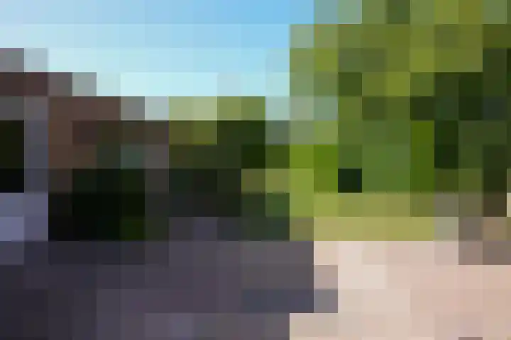 Vaart 18 Stein thumbnail 24