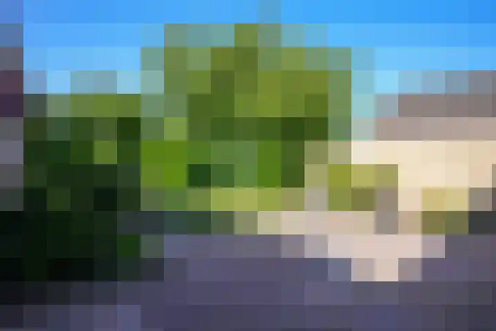 Vaart 18 Stein thumbnail 25