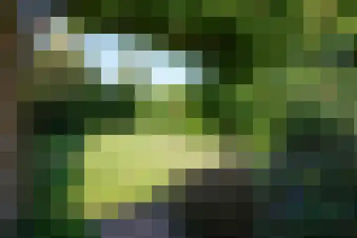 Vaart 18 Stein thumbnail 27