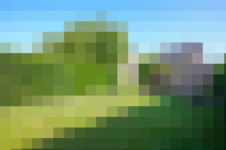 Vaart 18 Stein thumbnail 29