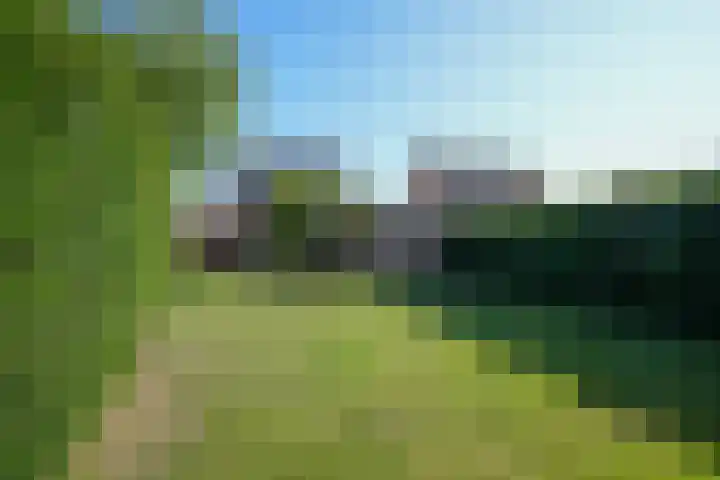 Vaart 18 Stein thumbnail 30