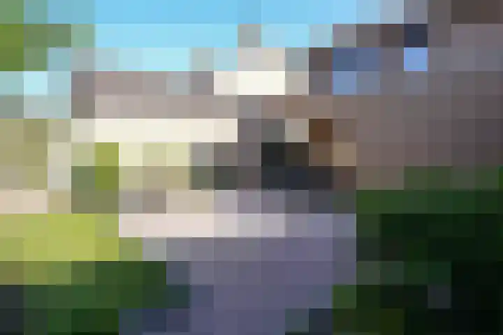 Vaart 18 Stein thumbnail 33