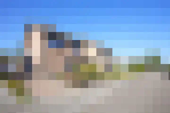 Vaart 18 Stein thumbnail 34