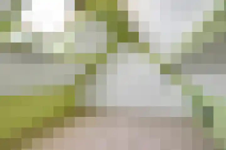 Vaart 44 Brielle thumbnail 24