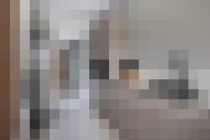 Vaart 70 Brielle thumbnail 10