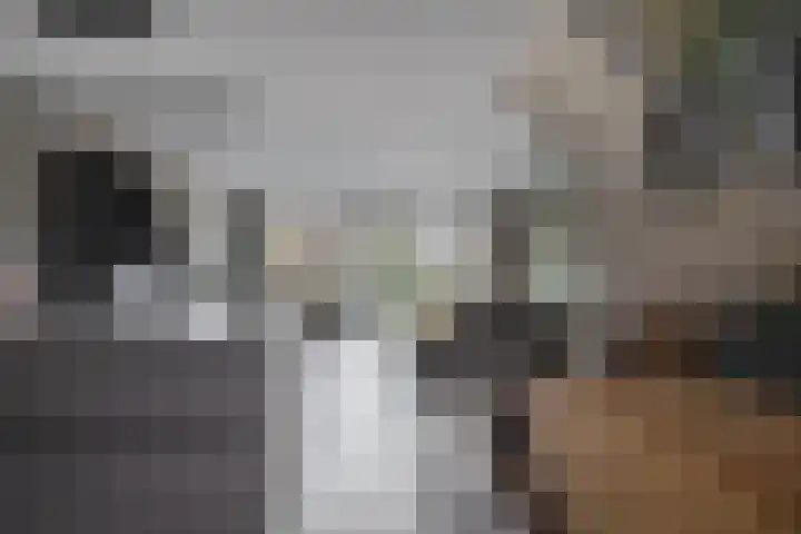 Vaart 70 Brielle thumbnail 13