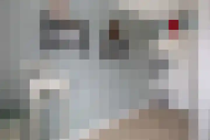 Vaart 70 Brielle thumbnail 27