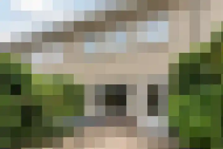 Vaart 70 Brielle thumbnail 4