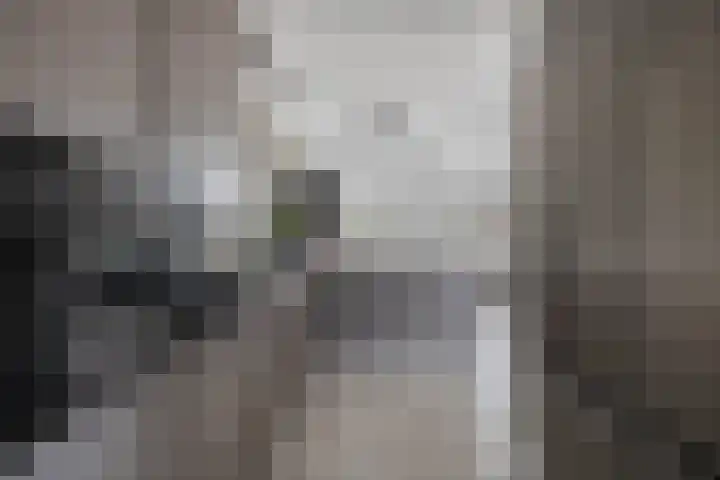 Vaart 70 Brielle thumbnail 8