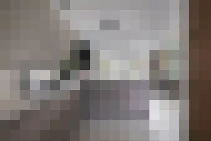 Vaart 70 Brielle thumbnail 9