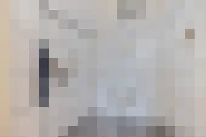 Vaart Nz 15 Appelscha thumbnail 11