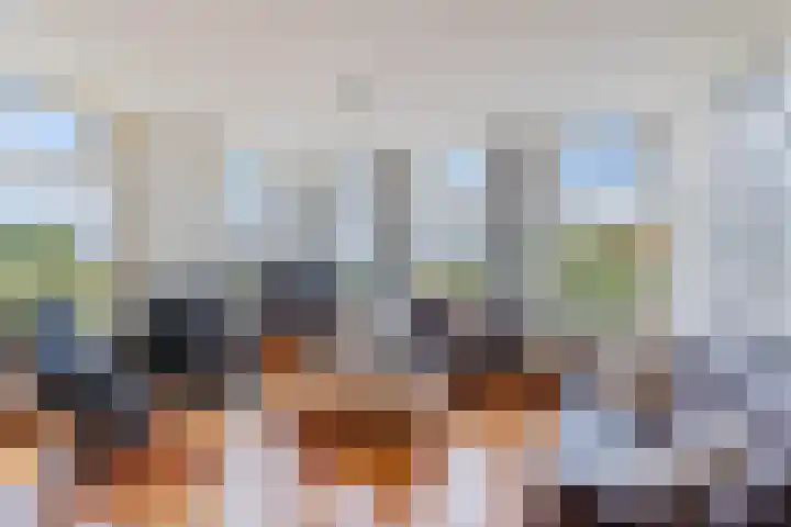 Vaart Nz 15 Appelscha thumbnail 13