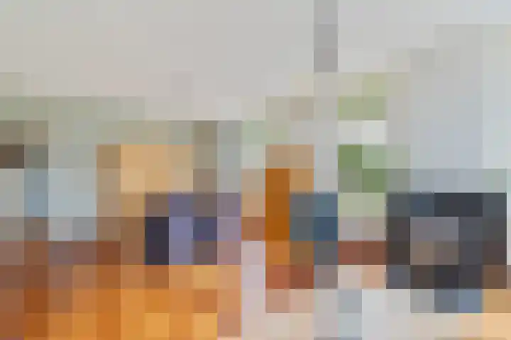 Vaart Nz 15 Appelscha thumbnail 14