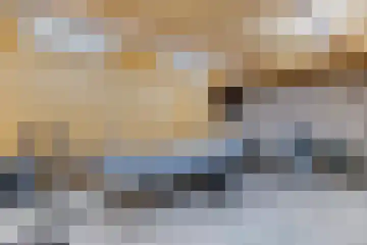 Vaart Nz 15 Appelscha thumbnail 34