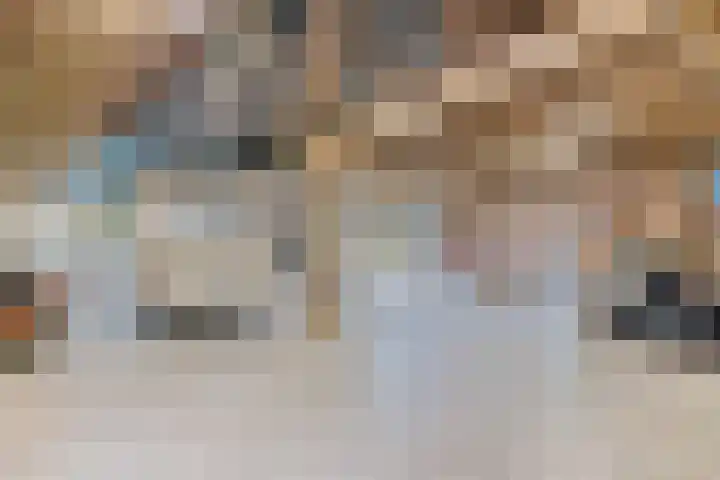 Vaart Nz 15 Appelscha thumbnail 36
