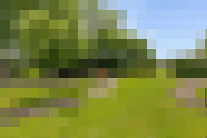 Vaart Nz 15 Appelscha thumbnail 39