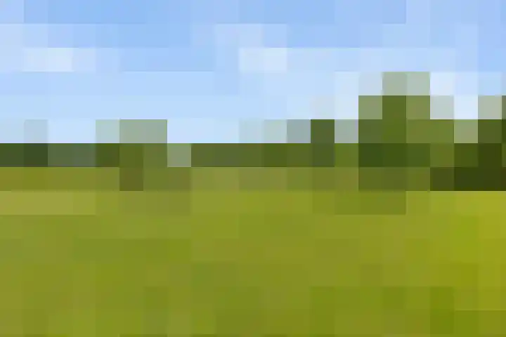 Vaart Nz 15 Appelscha thumbnail 40