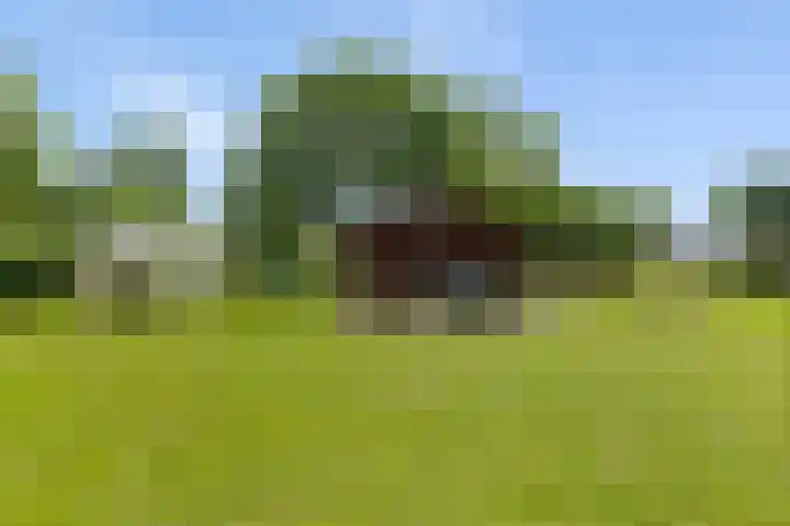 Vaart Nz 15 Appelscha thumbnail 41