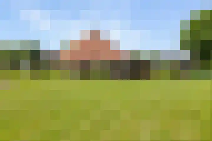 Vaart Nz 15 Appelscha thumbnail 42
