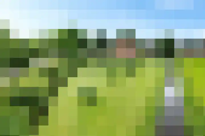 Vaart Nz 15 Appelscha thumbnail 43