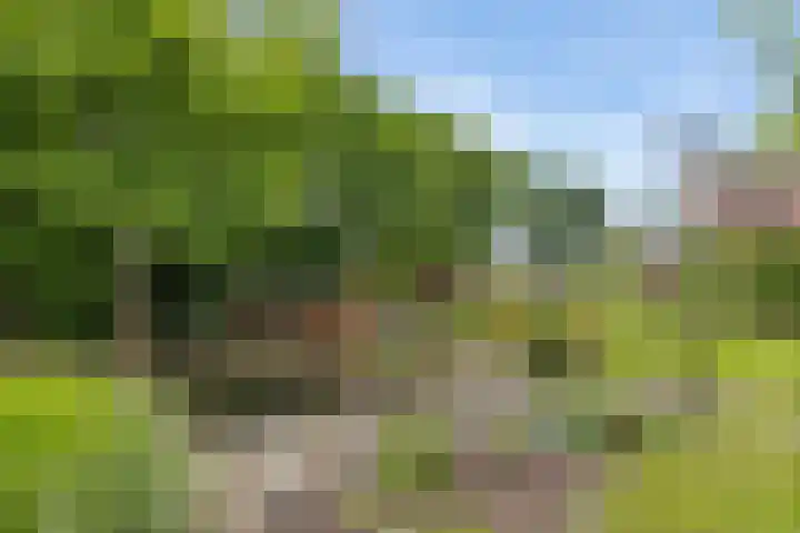 Vaart Nz 15 Appelscha thumbnail 45