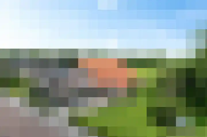 Vaart Nz 15 Appelscha thumbnail 49