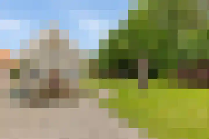 Vaart Nz 15 Appelscha thumbnail 9