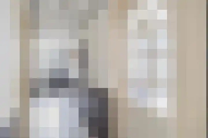 Vaart Zz 11 Appelscha thumbnail 12