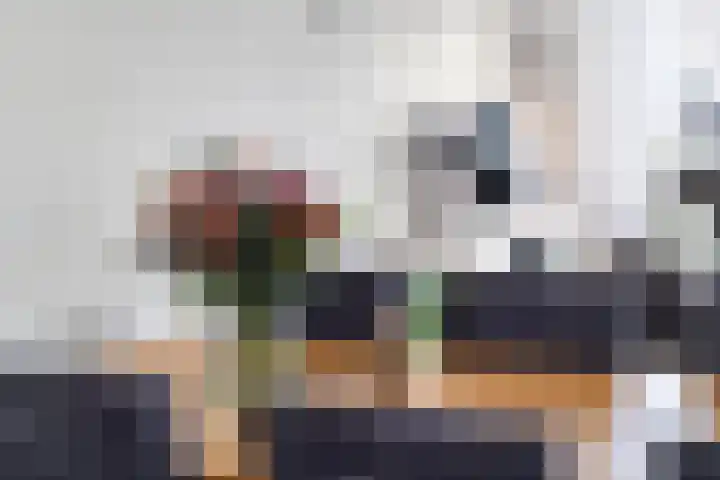 Vaart Zz 11 Appelscha thumbnail 14