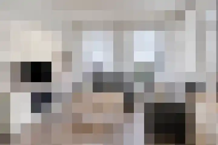 Vaart Zz 11 Appelscha thumbnail 15