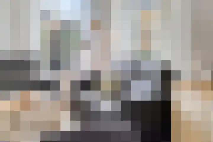 Vaart Zz 11 Appelscha thumbnail 16