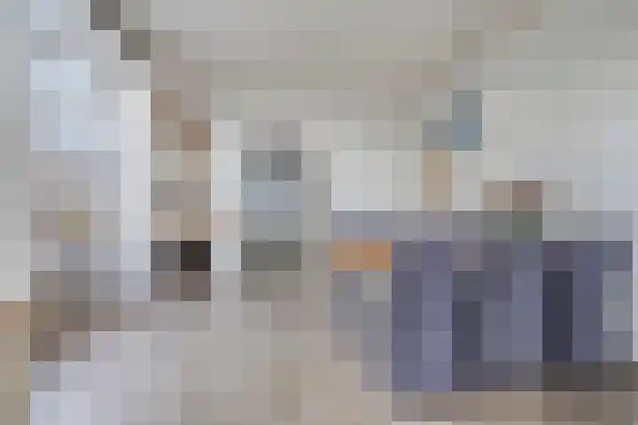 Vaart Zz 11 Appelscha thumbnail 19
