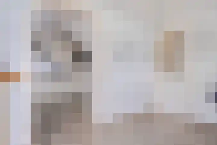 Vaart Zz 11 Appelscha thumbnail 21