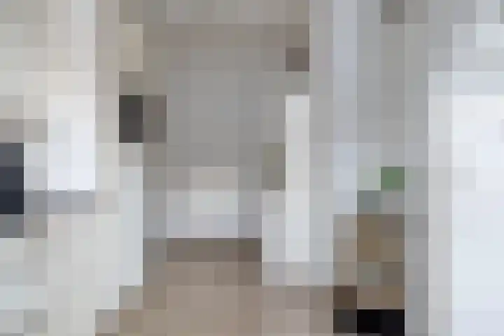 Vaart Zz 11 Appelscha thumbnail 25