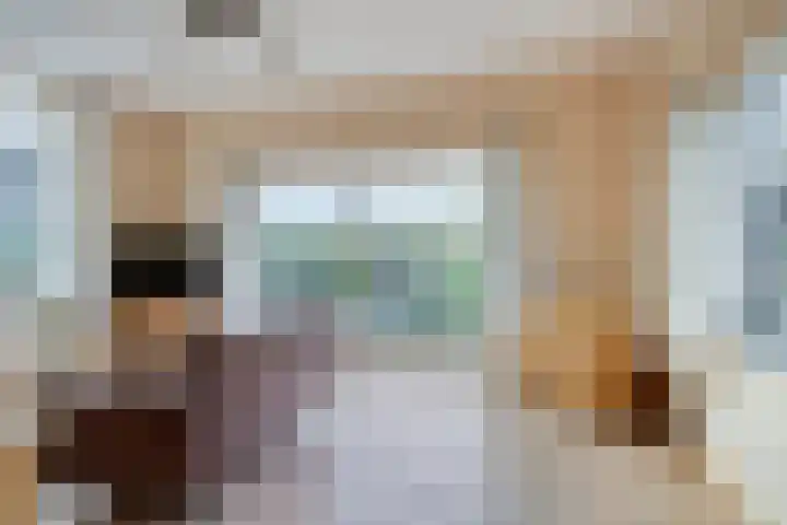Vaart Zz 11 Appelscha thumbnail 29